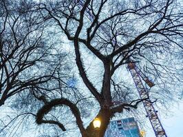 Tower crane against the background of tree branches and cloudy sky at dusk. photo