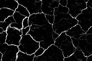 Black and White Cracked Ground Texture photo