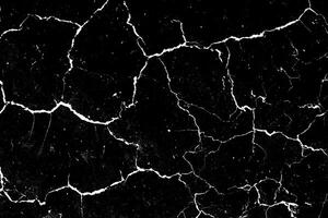 Black and White Cracked Ground Texture photo