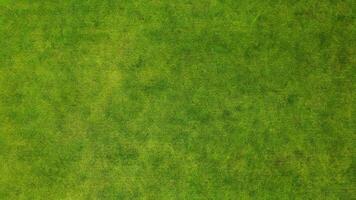 Green grass texture background photo