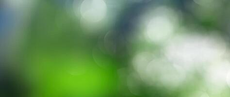 Abstract Bokeh Background, Defocused Elegance photo