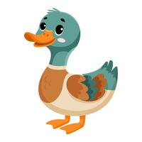 Cute funny duck vector