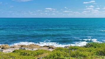 hermosa tropical natural playa selva bosque panorama juguete isla México. video