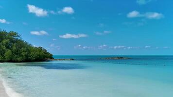 Beautiful tropical natural beach jungle forest panorama Contoy island Mexico. video