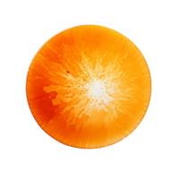 ai genererad orange vattenfärg runda minimum färga png