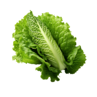 ai generiert Grüner Salat Blatt, Grüner Salat Blatt png, Grüner Salat Blatt mit transparent Hintergrund png