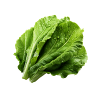 AI generated Lettuce Leaf, Lettuce Leaf Png, Lettuce Leaf With Transparent Background png
