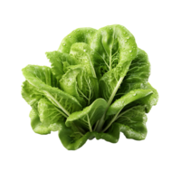 ai généré salade feuille, salade feuille png, salade feuille avec transparent Contexte png