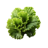 ai generiert Grüner Salat Blatt, Grüner Salat Blatt png, Grüner Salat Blatt mit transparent Hintergrund png