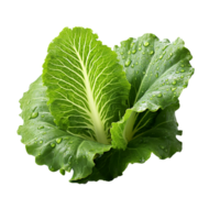 ai generado lechuga hoja, lechuga hoja png, lechuga hoja con transparente antecedentes png