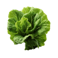 ai généré salade feuille, salade feuille png, salade feuille avec transparent Contexte png