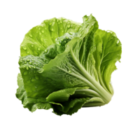 ai generado lechuga hoja, lechuga hoja png, lechuga hoja con transparente antecedentes png