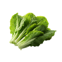 ai generado lechuga hoja, lechuga hoja png, lechuga hoja con transparente antecedentes png