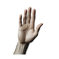 ai gegenereerd hand, hand- png, hand- uitknippen png