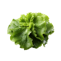 ai generiert Grüner Salat Blatt, Grüner Salat Blatt png, Grüner Salat Blatt mit transparent Hintergrund png