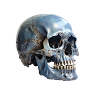 AI generated Skull, Skull Png