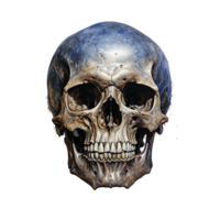 ai generato cranio, cranio png