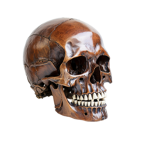 AI generated Skull, Skull Png