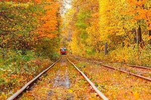 Autumn forest through which an old tram rides Ukraine photo