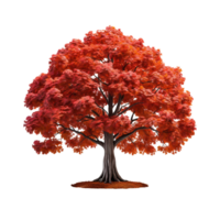 ai generiert Ahorn Baum, Ahorn Baum png