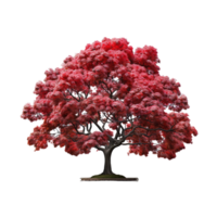 ai generato acero albero, acero albero png