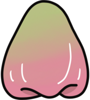 Rose Pomme dessin animé illustration png