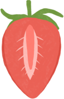 strawberry clipart. watercolor style. isolated on transparent background png