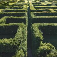 AI generated Green maze field drone shot photo