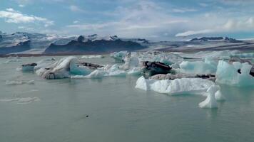 Islandia, jokulsarlon laguna, hermosa frío paisaje imagen de islandés glaciar laguna bahía. icebergs en jokulsarlon glacial laguna. vatnajokull nacional parque, Sureste Islandia, Europa. video