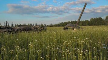 de stoffelijk overschot van een verbrand tank in een veld- in de buurt kiev. gras en voorjaar bloemen toenemen in de omgeving van de overblijfselen van de tank. de concept van beginnend een nieuw leven na de einde van de oorlog. video