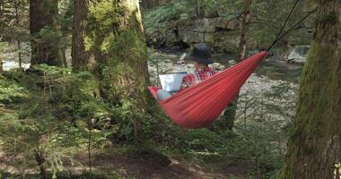 A woman works on a laptop in a hammock on the river bank in a beautiful forest. Concept of freelancing, digital nomad or remote office. 4K video