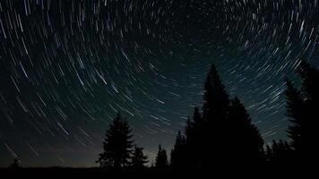 Time lapse of comet-shaped star trails in the night sky. Stars move around a polar star. Silhouettes of trees 4K video
