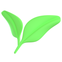3D Illustration leaf png