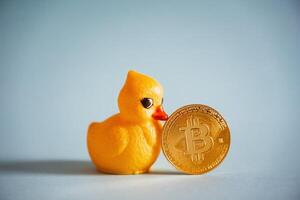 An unusual shot of a bitcoin coin next to a rubber duck. A new kind of money. High-risk cryptocurrency market. Bitcoin currency in physical form photo