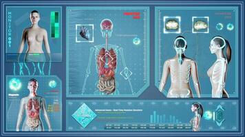 futurista x raio em fêmea corpo. hud com 3d render animação. esqueleto, interno órgãos e cérebro dentro holográfico Varredura video