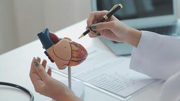 Cardiology consultation, treatment of heart disease. Doctor cardiologist while consultation showing anatomical model of human heart video