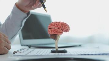 Neurologist hand pointing brain anatomy human model and brain disease lesion on white background.Part of human body model with organ system for health and doctor student study in university. video