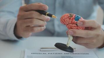 Neurologist hand pointing brain anatomy human model and brain disease lesion on white background.Part of human body model with organ system for health and doctor student study in university. video