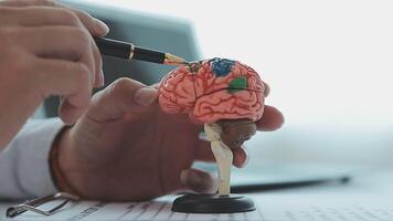 neuroloog hand- richten hersenen anatomie menselijk model- en hersenen ziekte laesie Aan wit achtergrond.deel van menselijk lichaam model- met orgaan systeem voor Gezondheid en dokter leerling studie in Universiteit. video