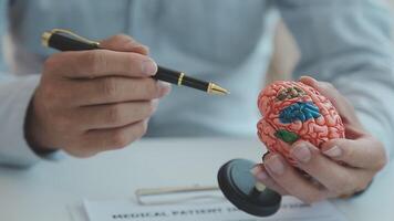 neurólogo mano señalando cerebro anatomía humano modelo y cerebro enfermedad lesión en blanco fondo.parte de humano cuerpo modelo con Organo sistema para salud y médico estudiante estudiar en universidad. video