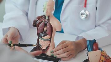 neurólogo mano señalando cerebro anatomía humano modelo y cerebro enfermedad lesión en blanco fondo.parte de humano cuerpo modelo con Organo sistema para salud y médico estudiante estudiar en universidad. video