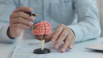 Neurologist hand pointing brain anatomy human model and brain disease lesion on white background.Part of human body model with organ system for health and doctor student study in university. video