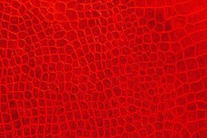 Luxurious Red Skin Leather Texture photo