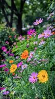 ai generado vibrante formación de cosmo flores floreciente en un lozano jardín durante primavera foto