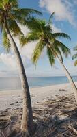 tropisch Aussicht mit Kokosnuss Palmen Bäume und Strand auf sonnig Tag im Seychellen. Vertikale Aufnahmen video