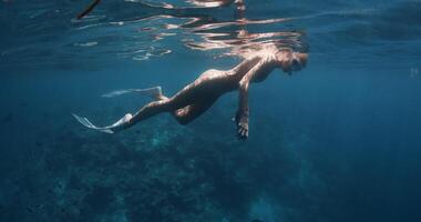 Sexy woman freediver resting on the surface and dive to the deep in blue ocean video