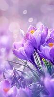 AI generated Purple Crocus Flowers Blooming in a Sunny Spring Field at Dawn photo