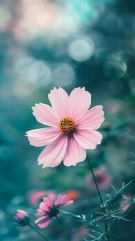 AI generated Vibrant Array of Cosmo Flowers Blooming in a Lush Garden During Springtime photo