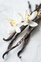 AI generated Vanilla Flowers and Pods Artfully Arranged on a Textured White Surface photo