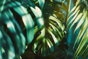 AI generated Vivid tropical Leaves Showcasing Vibrant Colors and Natural Patterns photo